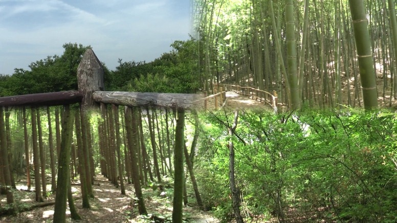 相生山緑地内の４風景、迷路のようでなるべく広い道と踏み固めた道を選んで 迷わないようにして下さい。