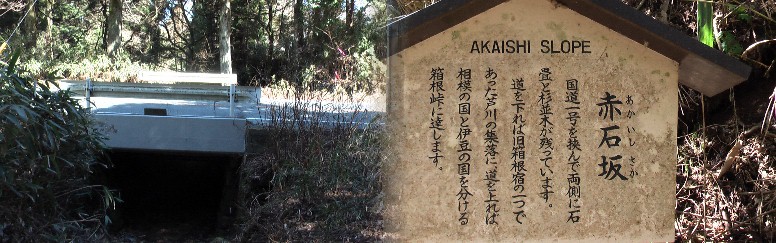 国道1号線の下をくぐり更に東北へ進む。