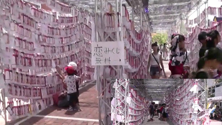 安城七夕神社。リンク:安城神社。 由緒拡大 「願い事短冊お焚き上げ祈願祭」は見事です。 安城市・七夕まつり第1部 第2部 第3部 第4部 第5部