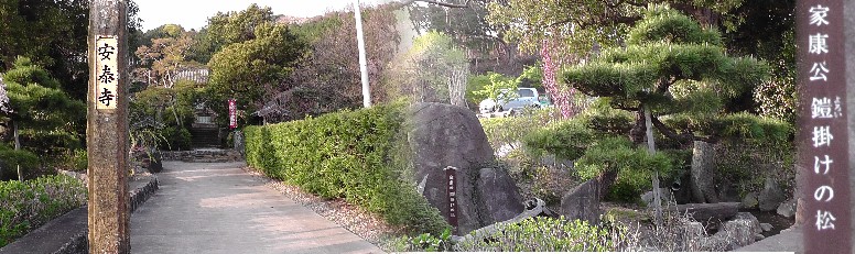 安泰寺と徳川家康公鎧掛けの松。 安泰寺