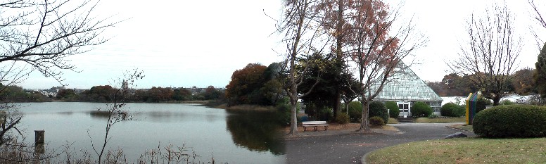 針名神社の深い森を抜けて市農業センターに入る。しだれ梅のシーズン以外初めての訪問で 静けさが漂う初冬の風景でした(右)。 荒池撮影場所・左写真