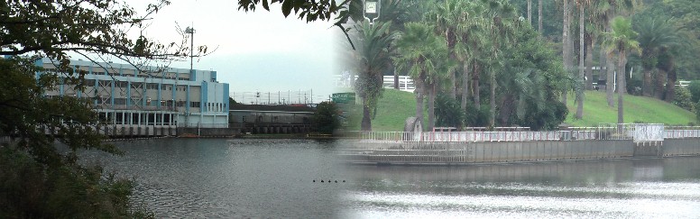 水と緑に囲まれた憩いの場として、荒子川公園の中に人工の島「荒子川フェニックスアイランド」があり、 水面に映るフェニックスの木がエキゾチックな南の島の雰囲気を漂わせ、魚釣りや砂遊びもできる新しい オアシスとして、昭和62年6月10日オープンし
