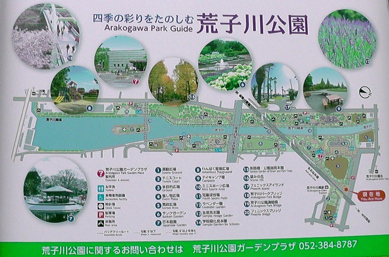 ２０１９．０６．１１撮影。