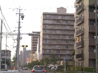 開通を間近にして荒子～南荒子間 沿線に建つ中高層マンション群 この駅から南の沿線地区の方々 にとって悲願でもあった待望の 都心（JR名古屋駅）まで9分と 本当におめでとうございます。