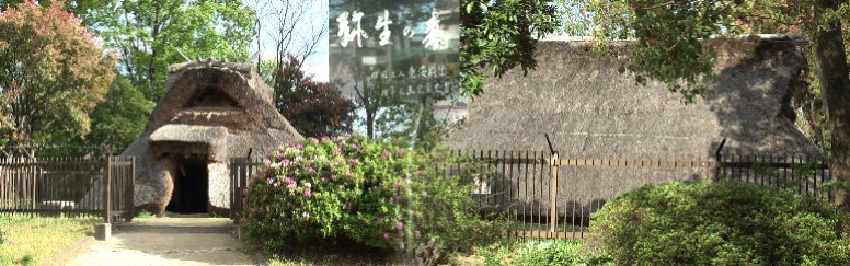 弥生の森に建つ弥生式住居。