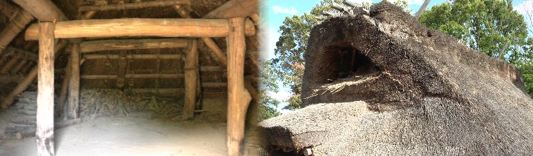 弥生式住居の内部(左)と萱で作られた屋根。