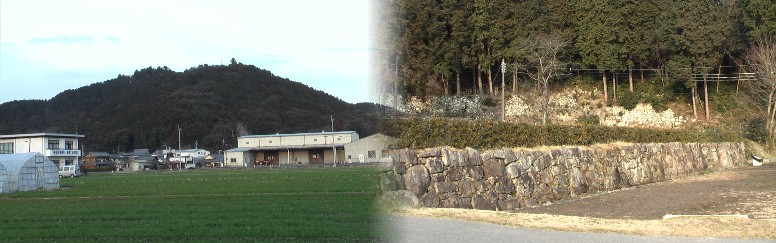 安土町の町中から見る安土城址と城址の石塁