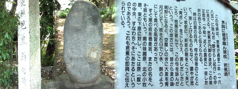 国道沿い正念寺境内にあります。 芭蕉句碑