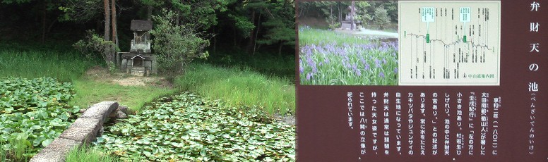 弁財天の池。 弁財天の池（推定）