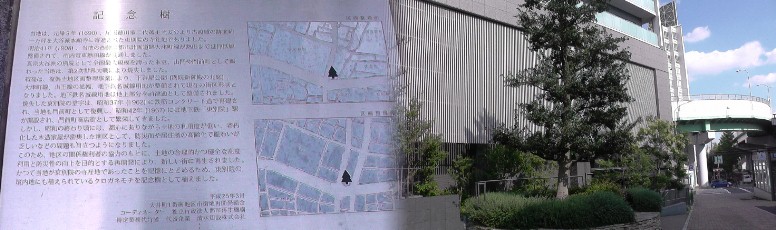 東別院駅東北角記念樹。 説明文拡大