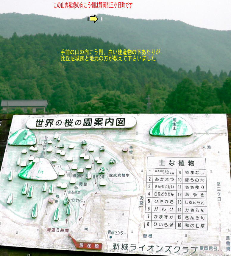 比丘尼城址（びくにじょう）。上写真は八幡神社前から比丘尼城址方向を撮ったもの。リンク： 新城市・比丘尼城址 案内板現在地