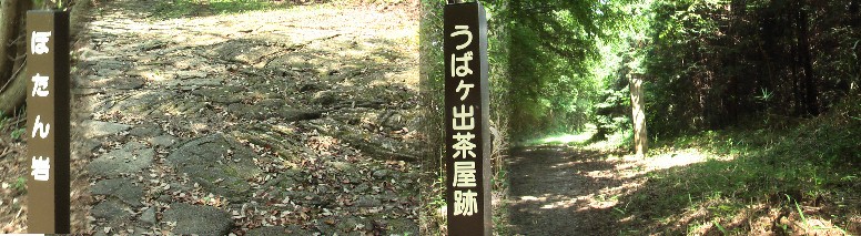 十三峠には距離が長いため茶屋が十数軒あり旅人を癒した。現在は「道の駅」でしようか。