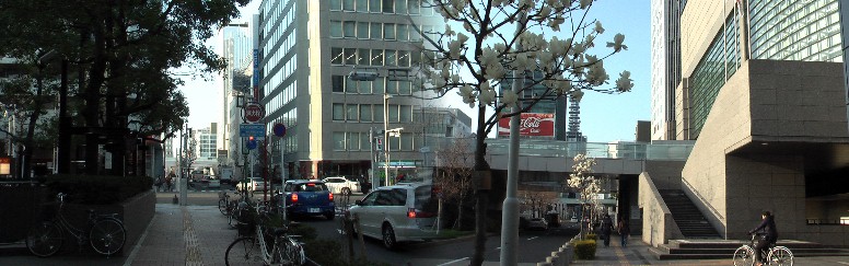 左：中区役所前から武平町通り北方面を撮る。右は愛知県芸術文化センター前歩道の白モクレンの花。