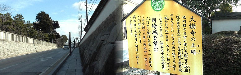 道路を挟んで左が大樹寺。右が現在は大樹寺小学校ですが以前は大樹寺境内で岡崎城が 見えたという。上記右写真から岡崎城が望見できます。