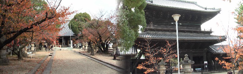 大樹寺は松平家・徳川将軍家の菩提寺で、歴代将軍の等身大の位牌を見ることができます