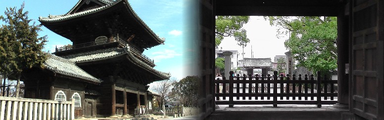 大樹寺三門