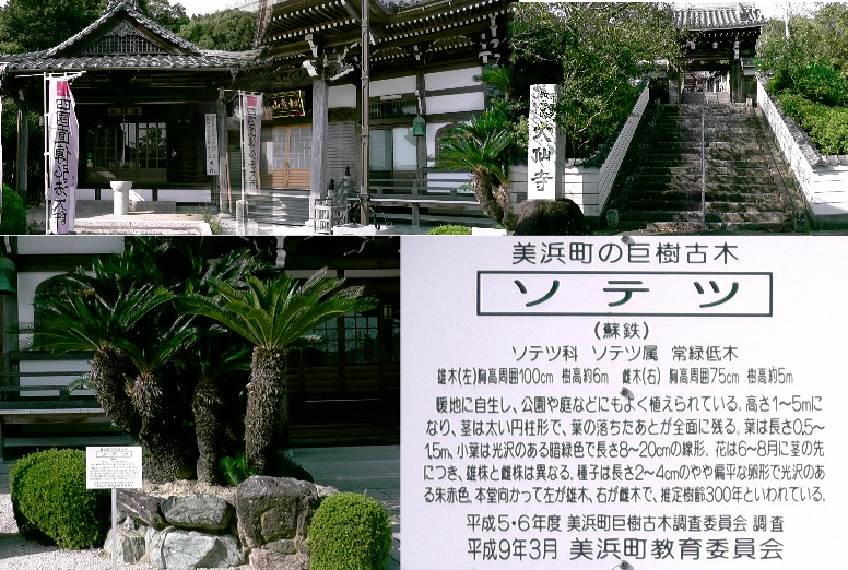 大仙寺。 リンク：四国直伝弘法五十八番・大仙寺。 第五十七番唯心寺（無住）は大仙寺で管理し大師像も 大仙寺で管理しておられます。 大仙寺/野間神社