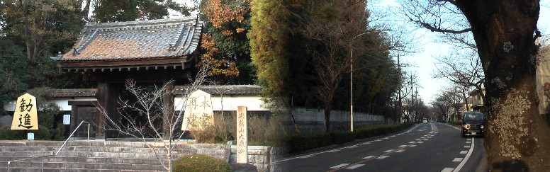 大森寺山門と寺前の桜並木道。