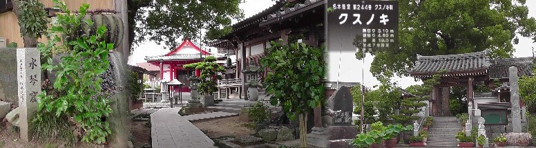 大通院。大通院由緒ほか 大通院