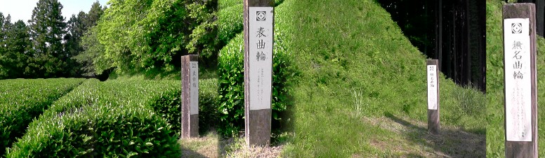 表曲輪（左）。右は無名曲輪。