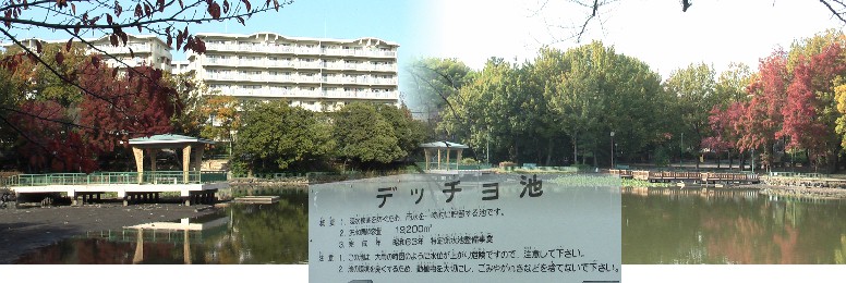 珍しい名前の池で寄って見た。浸水被害を防ぐため一時的に雨水を貯める池です。 デッチョ池