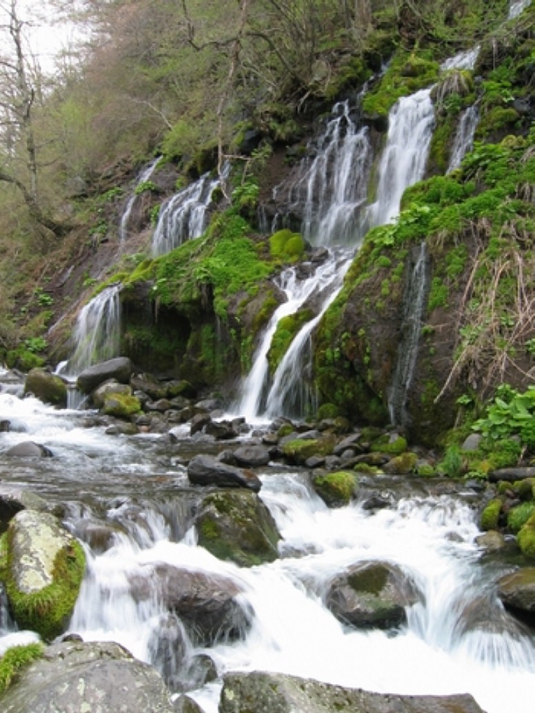 吐竜の滝。 クリエイティブ・コモンズ 表示-継承ライセンスの下で利用可能です