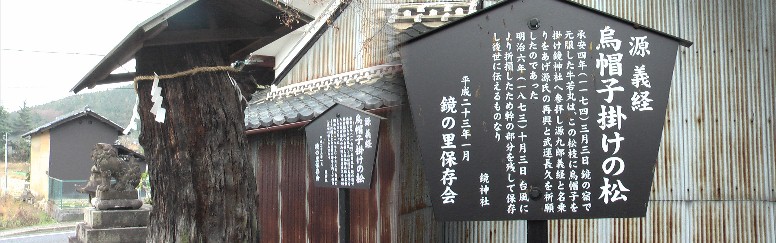 源義経「烏帽子掛けの松」。