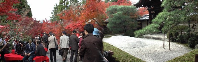 永観堂の茶席と庭園