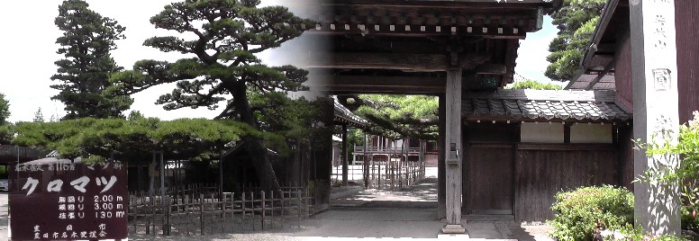 愛知・３８市史跡・社寺めぐりー豊田市(その１２)