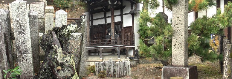 円照寺境内にある止らん松（右、２代目）と徳川家康腰掛石。