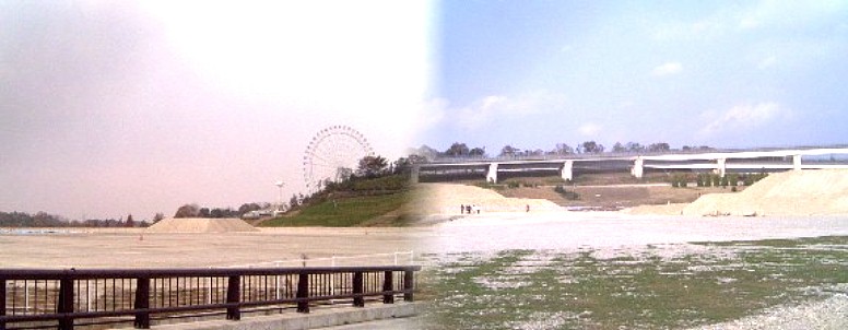 左は竹で作られていた長久手日本館跡。右は企業パビリオン(トヨタ、日立など)の跡地付近