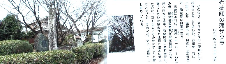 １０年版参照してください。