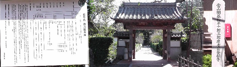 源空院。 松平氏 徳川家略系譜拡大 源空院
