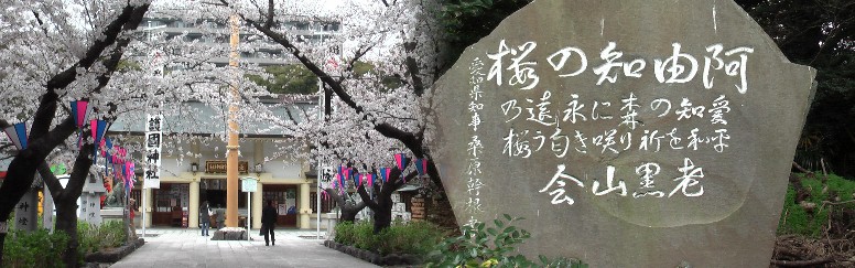 左写真中央の拝殿前の丸い柱が太玉柱（下記の写真）です。