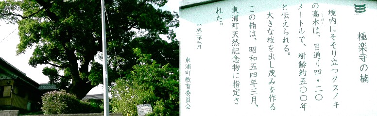 極楽寺。知多四国霊場（新四国）第七番札所。 極楽寺の楠木。 歩いて巡拝 知多四国 ７～１２番札所 東浦町周辺 知多四国霊場会公式サイト 極楽寺
