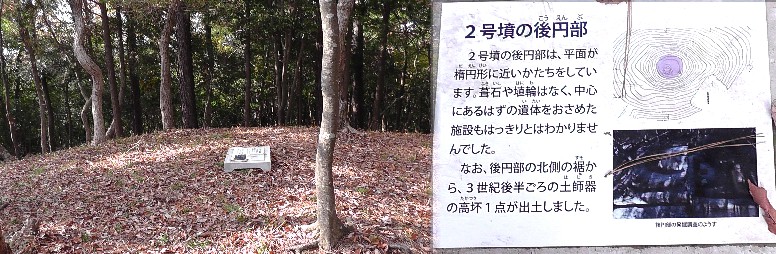 権現山古墳と隣接しています。