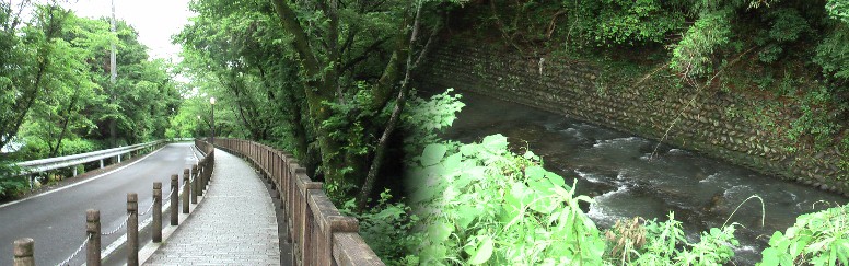 犬山城の東を流れる郷瀬川と遊歩道。