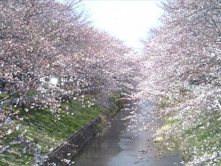 北区木津根橋付近、名城線志賀本通駅が便利です。