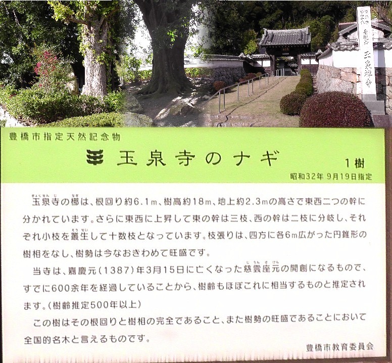 玉泉寺。 玉泉寺