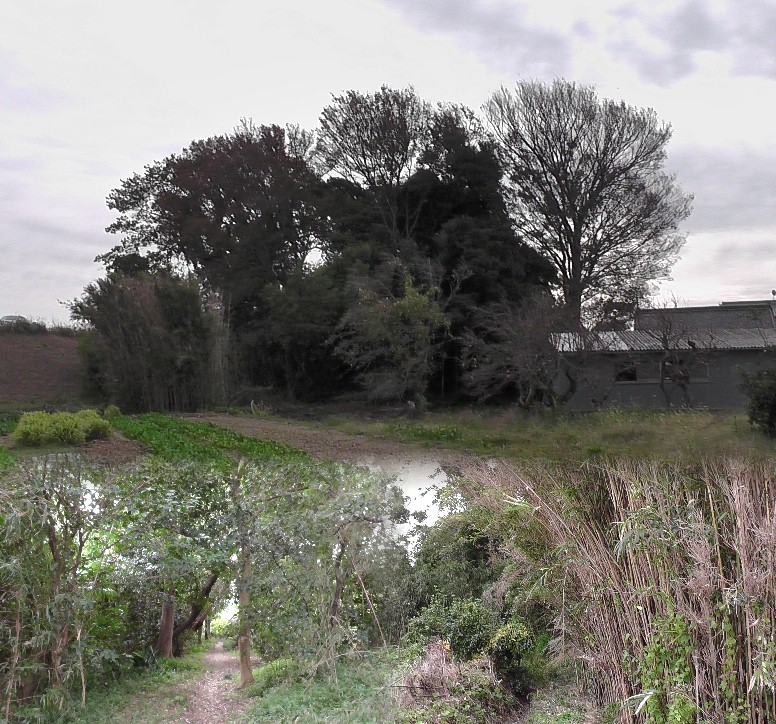 行明城跡。地元の話によるとこの付近は豊川放水路と豊川の分流工事のため判然としない そうです。多くの資料を拝見して写真に収めました。羽衣の松の向かい側にあります。