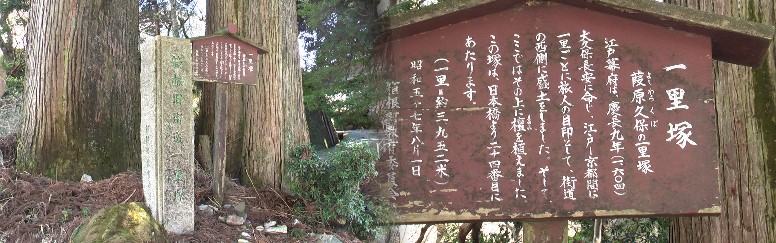 杉並木の北の入り口にある葭原久保（箱根）の一里塚碑。 接待茶屋：山中新田一里塚から 丁度一里（約４キロ）歩いたことになります。番場宿久禮一里塚跡碑に 書き込まれた川柳に「くたびれたやつが見付ける一里塚」、納得してにっこり。