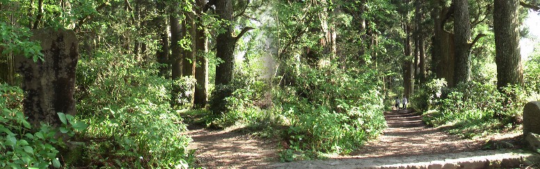 左：杉並木道の北の入り口に建つ古色蒼然とした石碑（「旧東海道箱根杉並木」と記されている。） 右は北の入り口から並木道を撮る。樹齢約３７０年、４２０本の大杉は東海道唯一で伊勢湾台風前の 伊勢神宮の杉並木を思い起こす。