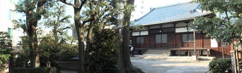 都心の白林寺境内の静かな佇まいと本堂。昔名古屋城から白い林の寺が見えたので白林寺と 名付けられたという。訳は白鷺の群れで林が白く美しく見えたといわれます。