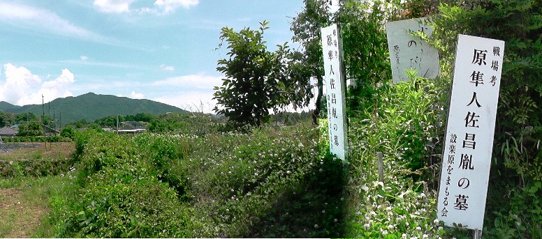 原隼人佐昌胤の墓地と付近の遠望。設楽が原の合戦で火縄銃の銃弾に倒れました。 原隼人佐昌胤