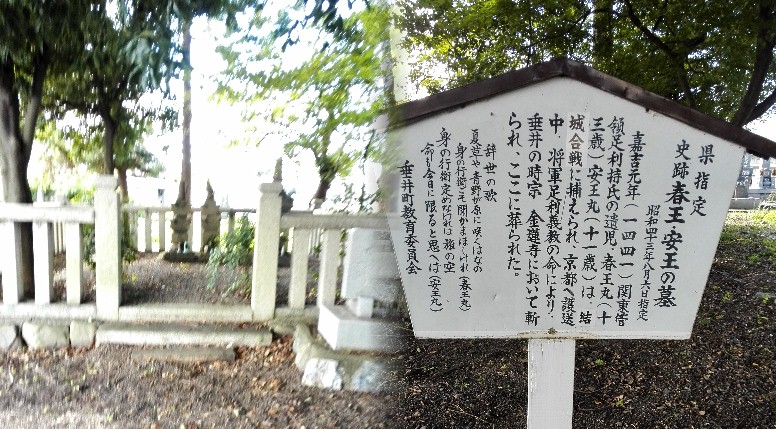 春王・安王の墓苑。