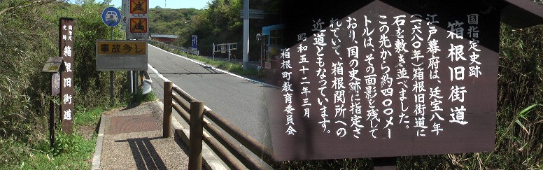 上記境木標示から約１００メートル南にある、ここから左へ急な坂（下の写真）を下りて行く。 箱根・挟石坂