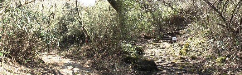 挟石坂と釜石坂の間の旧道。コケが生えてる石は滑りにご注意。