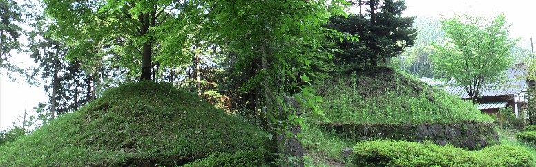 左がケヤキ、右がモミの木で復元されています。