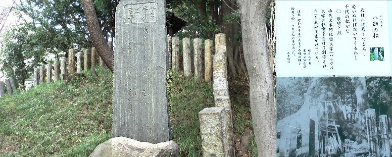 鳥栖八剣社境内の２巡目の追加写真です