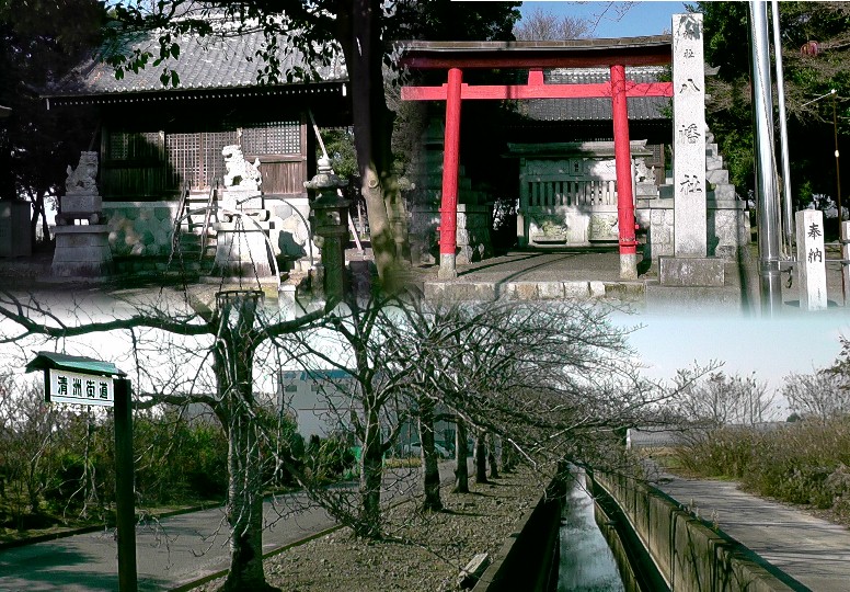 八幡社（上）。下は八幡社北の水路にそって西へ通る清洲街道の桜並木。 八幡社
